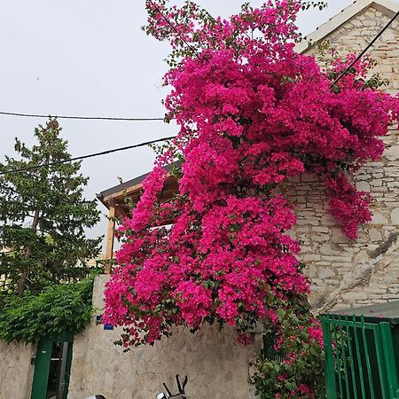 Apartment Franicevic Split Exterior foto