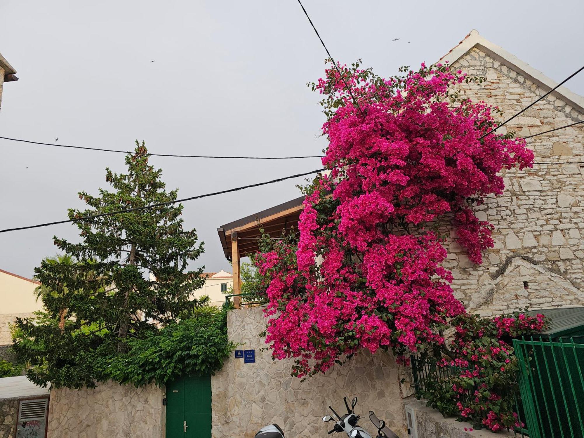 Apartment Franicevic Split Exterior foto